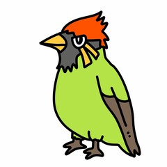 a bird with a red head and a green body