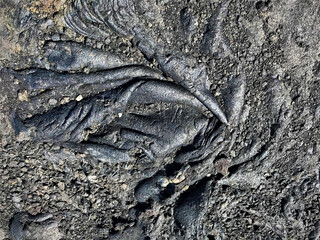 Hardened Lava Texture with Volcanic Rock Debris