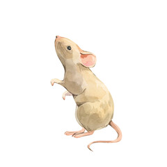 Cute little mouse in pink and brown tones in watercolor on transparent background.