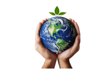 International environment day safe the world