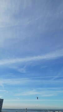 Aerial View of Historical and Modern Central Town Center and Downtown Buildings at British City Centre of Liverpool, Maritime city in northwest England, United Kingdom on Beach and Ocean Docks.