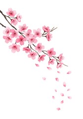 Delicate cherry blossom branch with falling petals.