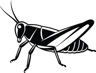 Grasshopper Silhouette Vector Illustration On White Background