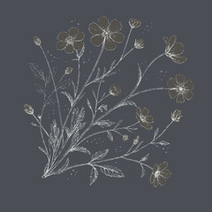 Delicate floral illustration featuring various flowers and leaves on dark background, evoking sense of tranquility and beauty