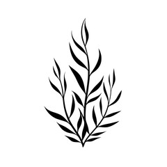 Seaweed vector illustration