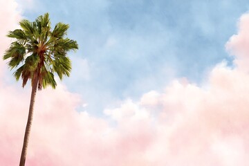 Palm tree on sky background