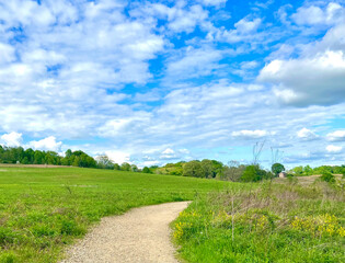 path through green field and blue sky
