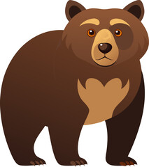 Bear vector white background 