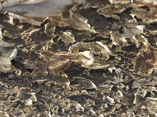 Old weathered layers of waterproof paint on roof surface.