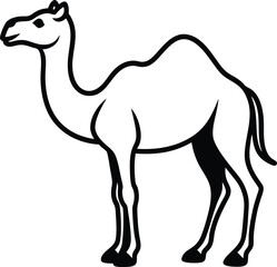 Fototapeta premium camel isolated on white