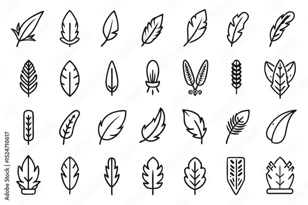 Poster set of line icons depicting feathers soft filler bird features isolated on transparent background