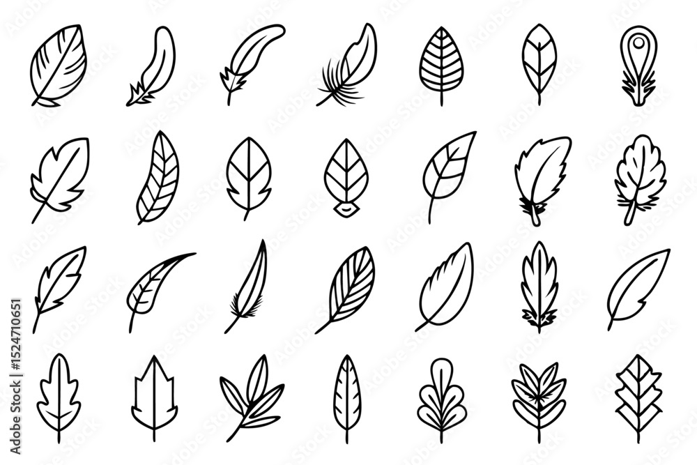 Poster Collection of line icons depicting feathers soft fillers and birds isolated on transparent background