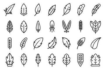 Set of line icons depicting feathers soft filler bird features isolated on transparent background