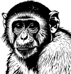 Intriguing Black and White Illustration of a Monkey's Face