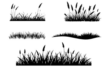 Black grass silhouettes  grass bushes, wild grassy plants, grass clumps shapes  white  isolated background