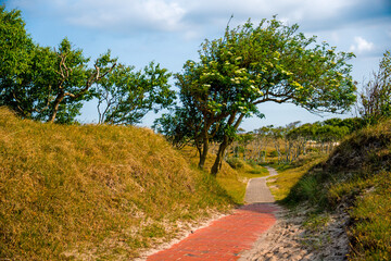 Wanderpfad auf Norderney, Niedersachsen, Deutschland, Europa