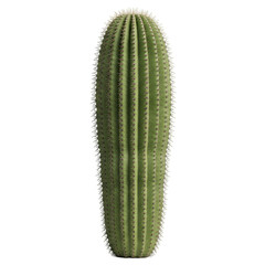 Naklejka premium Saguaro Cactus isolated on white or transparent background. PNG