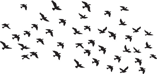 Silhouette vector set of soccer and football players in action for sports illustration