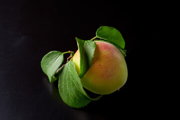 梅の実　黒バックで