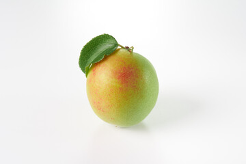 梅の実　白バックで