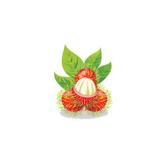 Rambutan fruits with leaves One fruit is cut open to reveal the white flesh