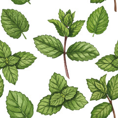 Vector watercolor mint / 水彩テイストのミントイラスト