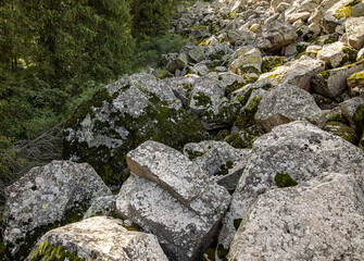 moss on rocks