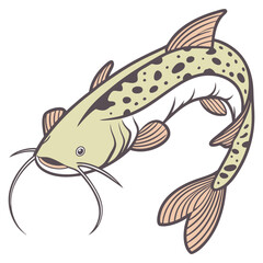 Colorful flat vector of a catfish (Siluriformes), featuring its characteristic barbels (whiskers) and a mottled skin pattern. Ideal for freshwater, river, or bottom-dweller fish themes.