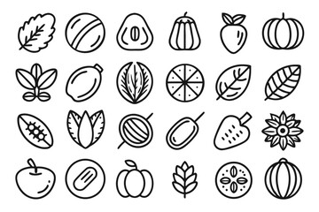 Collection of line icons depicting nuts seeds beans and walnuts isolated on transparent background