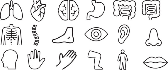 Line Art Icons of Human Organs and Body Parts Set