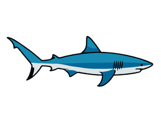Fototapeta premium shark vector illustration