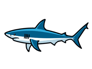 Obraz premium shark vector illustration