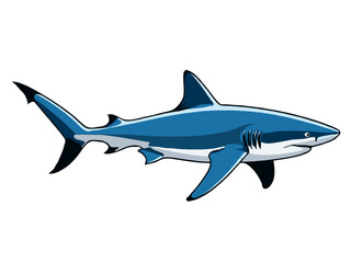Fototapeta premium shark vector illustration