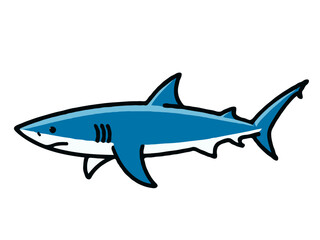 Fototapeta premium shark vector illustration