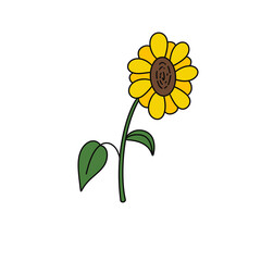 A yellow flower with a green stem