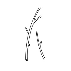 Two thin branches are shown in a white background