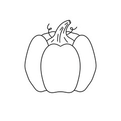 A white pumpkin with a green stem