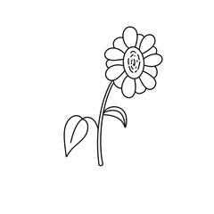 A flower is drawn in black and white