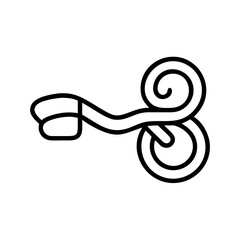 An artistic illustration of the inner ear