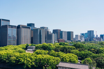 都心から望む大手町・丸の内の都市景観