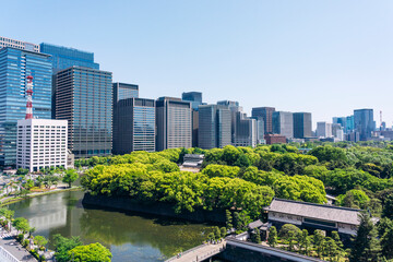 都心から望む大手町・丸の内の都市景観