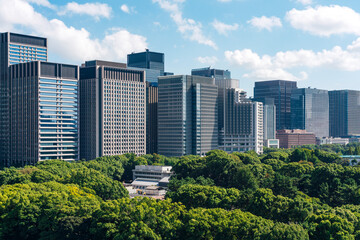 都心から望む大手町・丸の内の都市景観