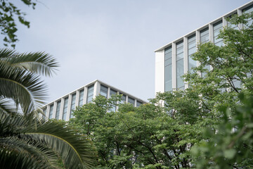 Obraz premium modern office building with glass window