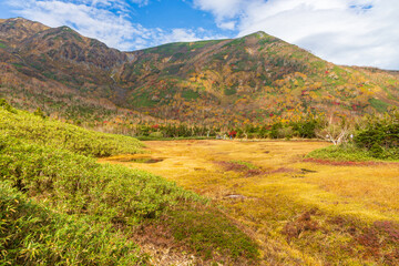 日本の風景・秋　栂池高原　紅葉の栂池自然園