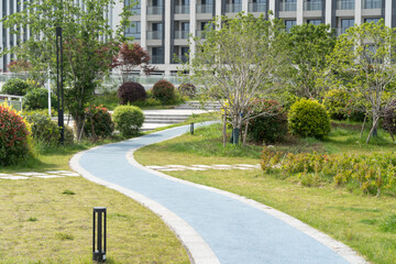 footpath through garden on rooftop of modern office building