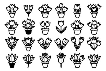 Charming doodle style tulip bouquet isolated on transparent background