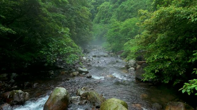 Aerial view of Nature river and forest water stream in Taiwan