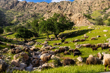 Hidden Treasures: Untouched Landscapes and Historic Sites