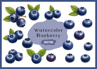 Vector watercolor Blueberry / 水彩テイストのブルーベリーイラスト