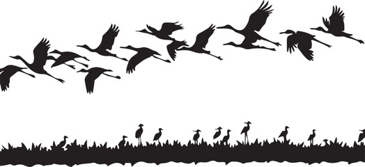 Black bird silhouettes flying and standing in grass vector illustration set
